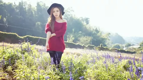 职业本科扩容解读