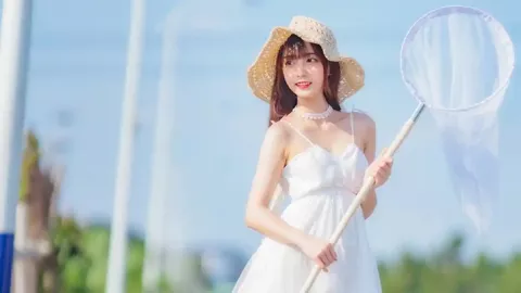 台北捷运优先席冲突时间线