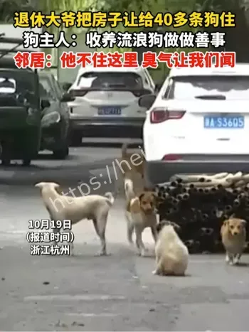 退休大爷养40条狗