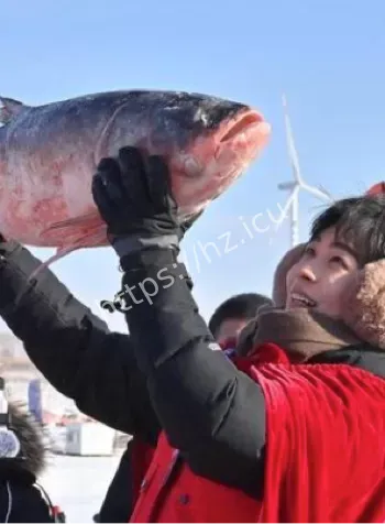 吉林查干湖38斤头鱼